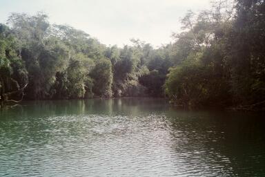 Rio Formosa in Bonito